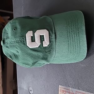 Michigan State Hat